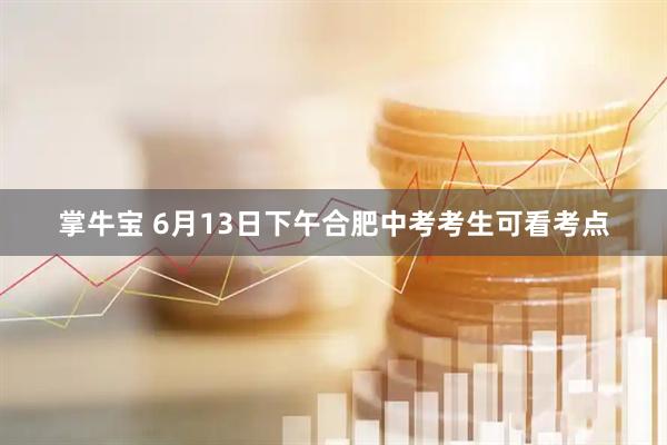 掌牛宝 6月13日下午合肥中考考生可看考点