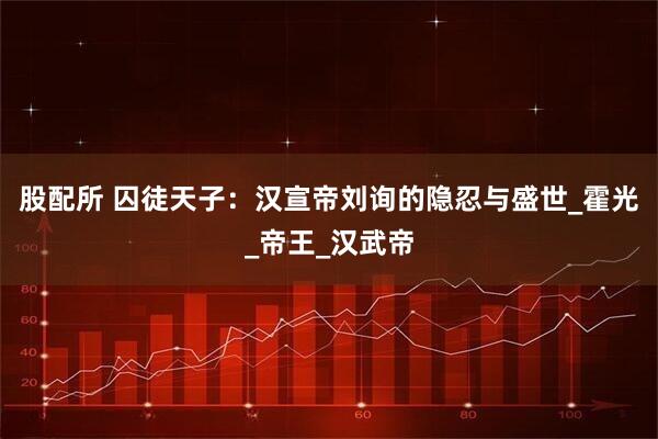 股配所 囚徒天子：汉宣帝刘询的隐忍与盛世_霍光_帝王_汉武帝