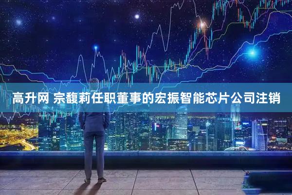 高升网 宗馥莉任职董事的宏振智能芯片公司注销