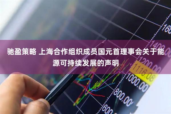 驰盈策略 上海合作组织成员国元首理事会关于能源可持续发展的声明