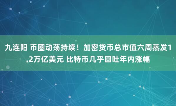 九连阳 币圈动荡持续！加密货币总市值六周蒸发1.2万亿美元 比特币几乎回吐年内涨幅